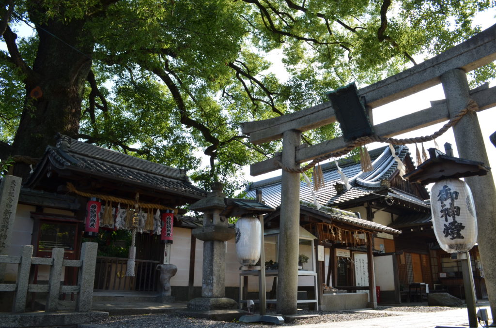 The front torii gate of Imagumano shrine in the shade of an enormous tree